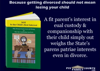 Divorce Child Custody Memes