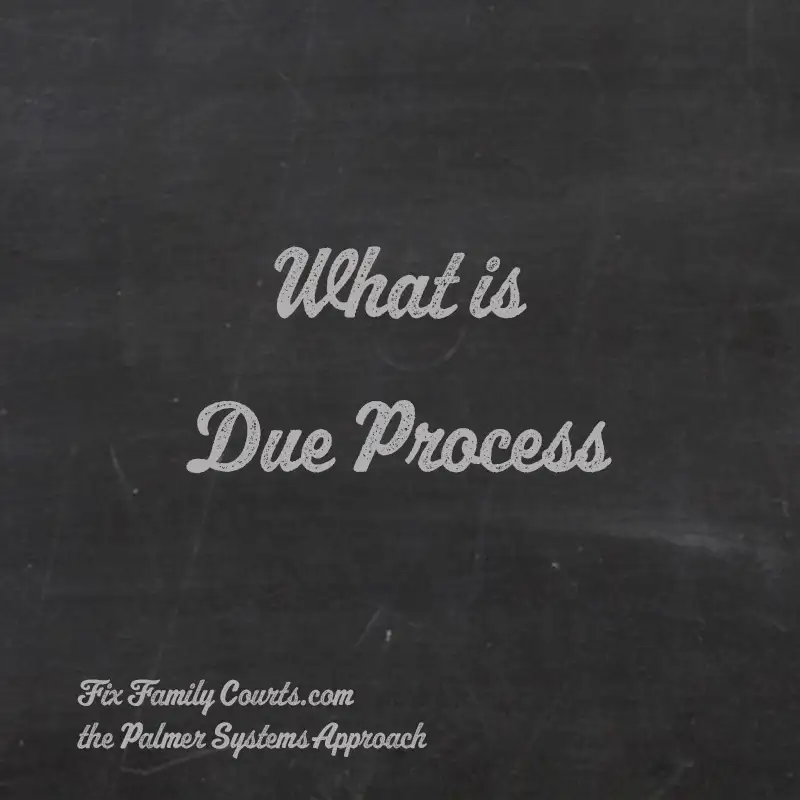 what is due process Palmer Systems Approach